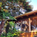 부영농장 이미지