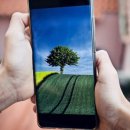 전라북도농업기술원 이미지