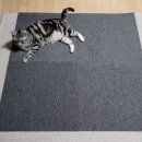 천일세탁 이미지