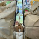 햄스터 다락방 이미지