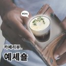 예셰숄 | [팝업의 성지, 성수 카페 | 예셰숄 후기🔎]-성수의 오아시스를 찾는다면? 여기로!