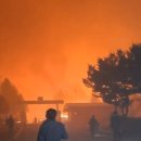 디시에 올라온 교도소 상황ㄷㄷㄷ.jpg 이미지