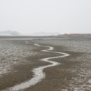 함평해수찜 이미지