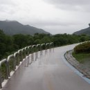 덕풍천 산책로 Daum카페