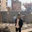 똥손아케이드 이미지