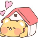 와현비치펜션 이미지