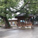 안평마을회관 이미지