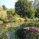 모네의 정원 이미지