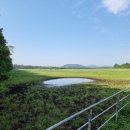 정권목장 이미지