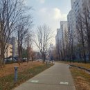 지에스25 연남게스트점 | 연남동 빵지순례 소금빵 맛집 밀크티 맛집 솔트빵 연남점