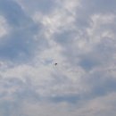 여수해상산업노동조합 이미지