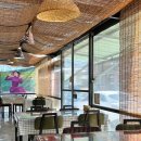 다문화카페 아오바바 협동조합 | 제천 충주 그 어딘가 현지인 쌀국수 아오바바