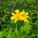 구례사람들 이미지