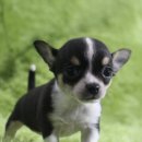 은아농장 이미지