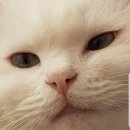 고방동물병원 이미지