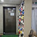 와일드복싱짐 안양관 이미지