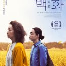 백화그릇