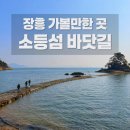 장흥권역농촌체험마을 | 장흥 가볼만한 곳 🌊 소등섬 바닷길 직접 걸어본 후기 (아이랑·물때 필수)