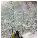 2013년 1월 1일 신년 눈꽃산행^^ 이미지
