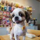 예뻐지개 이미지