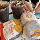 오디너리 가든 이미지