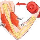 노크 프로젝트 이미지