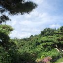 경신농장 이미지