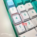 F21 | Aula F21 숫자 키패드 사용 후기 및 FN키 조합 설명.