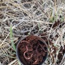 친구횟집 이미지