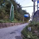 고란길(길안면) 이미지