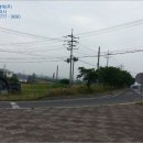 완충녹지10호 이미지