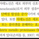 모공화장품