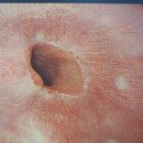 삼성보스톤내과의원 이미지