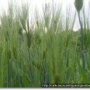 능골농장 이미지