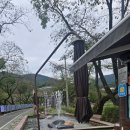 수안보족욕길 | 충주 수안보 족욕체험장 방문후기