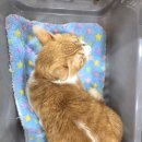 삼화4길 6-1 이미지