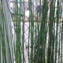 오색무지개 이미지