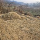 산북주유소 이미지