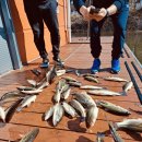 하와이낚시터 이미지