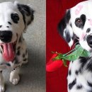 동네누나 이미지