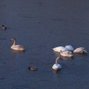 주남목장 이미지