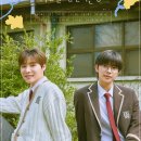 용훈 스타뉴스