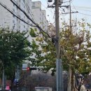 동아3차(아) 이미지