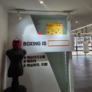 복싱is심플 | 김포 구래동 복싱 복싱 is 심플