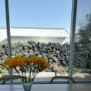 김녕별장 | 제주 동쪽 독채 숙소 감성숙소 아기랑 김녕별장 후기