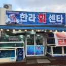 대한회센타 | [제주 일도동] 현지인 추천 겨울방어 맛집 한라회센타 방문 후기