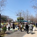 중원목장 | 2026년 논산딸기축제 설향딸기 킹스베리딸기 후기 원조중앙탑막국수