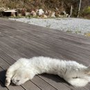 곰배스테이 이미지