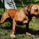 메이데이 이미지