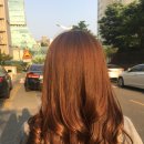 와이샵헤어